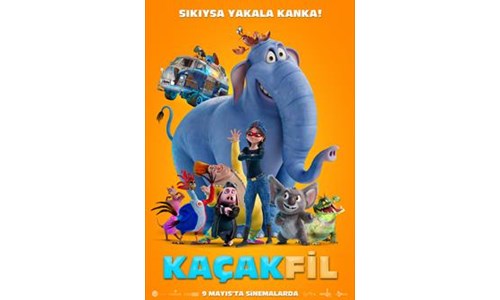 KAÇAK FİL